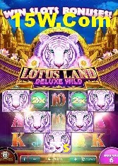 Casino Ao Vivo 55s