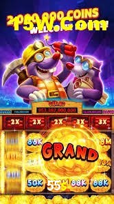 Live Casino 55s